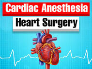 Cardiac Anesthesia During Heart Surgery: What Should Patients Know?