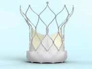 Patient Webinar: Advances in TAVR