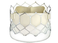 Cardiologist Q&A: Transcatheter Aortic Valve Replacement (TAVR) for Low-Risk Patients