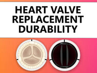 Tissue and Mechanical Heart Valve Replacement Durability