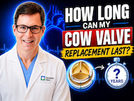 What Determines the Durability of a Cow Tissue Heart Valve?